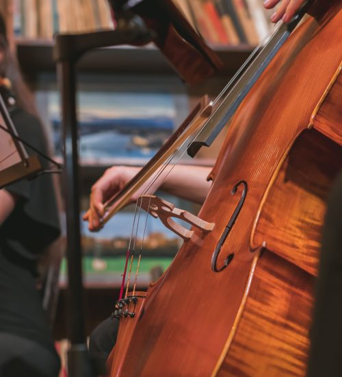 A vertical shot of a musician playing the violin in an orchestra